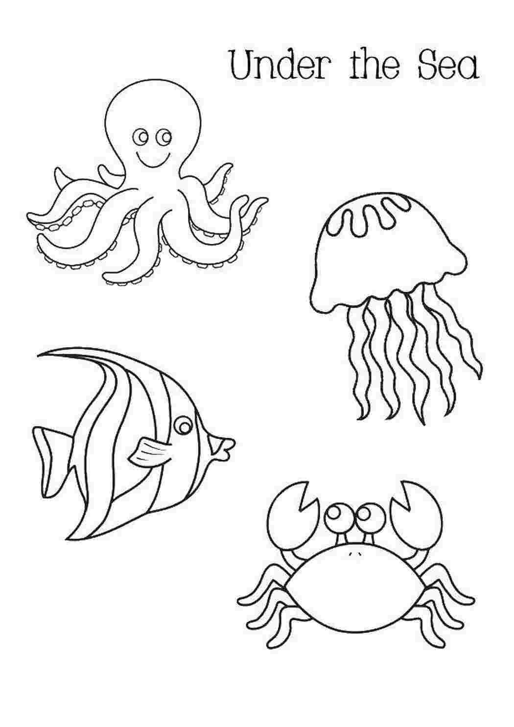 Раскраски Осьминог, медуза, рыбка, краб морские обитатели осьминог, медуза, рыбка, кра