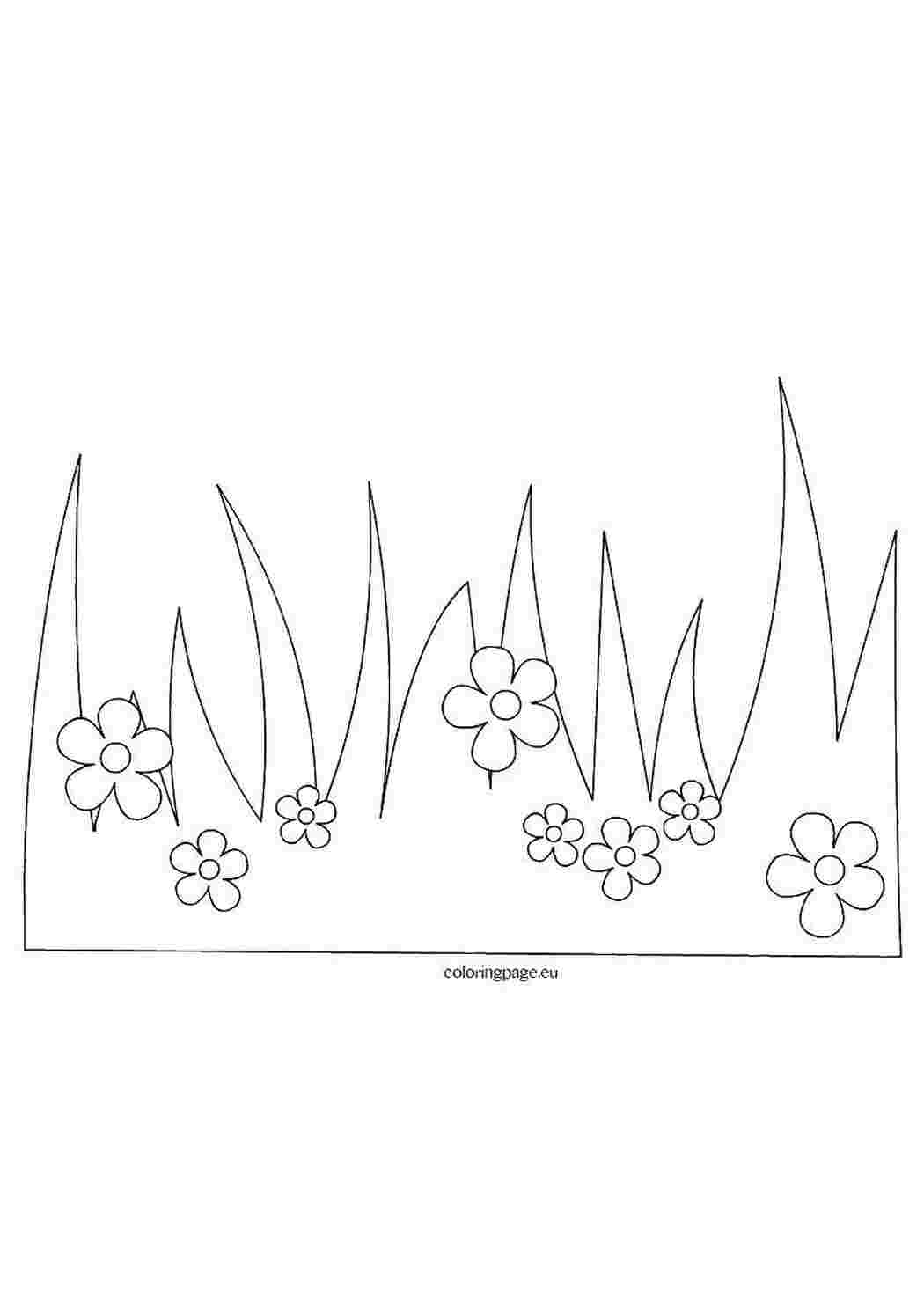 Раскраски Трава и цветочки цветы цветы, трава