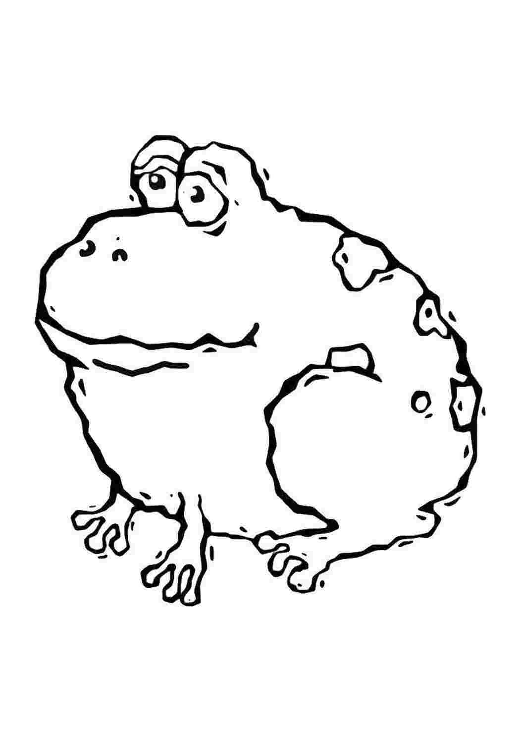Раскраски Большая жаба лягушка Рептилия, лягушка