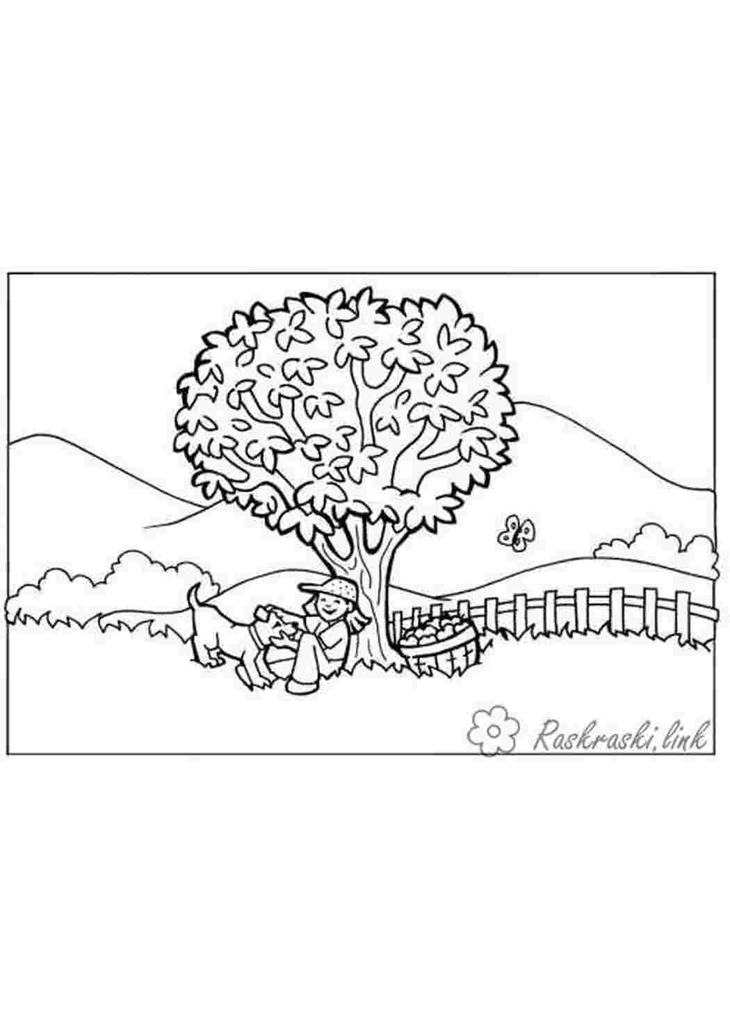 Раскраска деревья Изображения – скачать бесплатно на Freepik