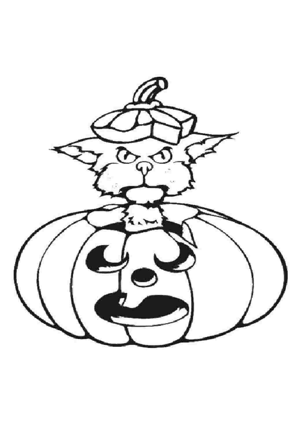 Раскраски Кот и тыква тыква на хэллоуин тыквы, хэллоуин, кошки, кот