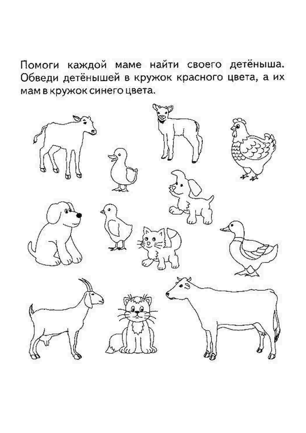 раскраски на логику Логика