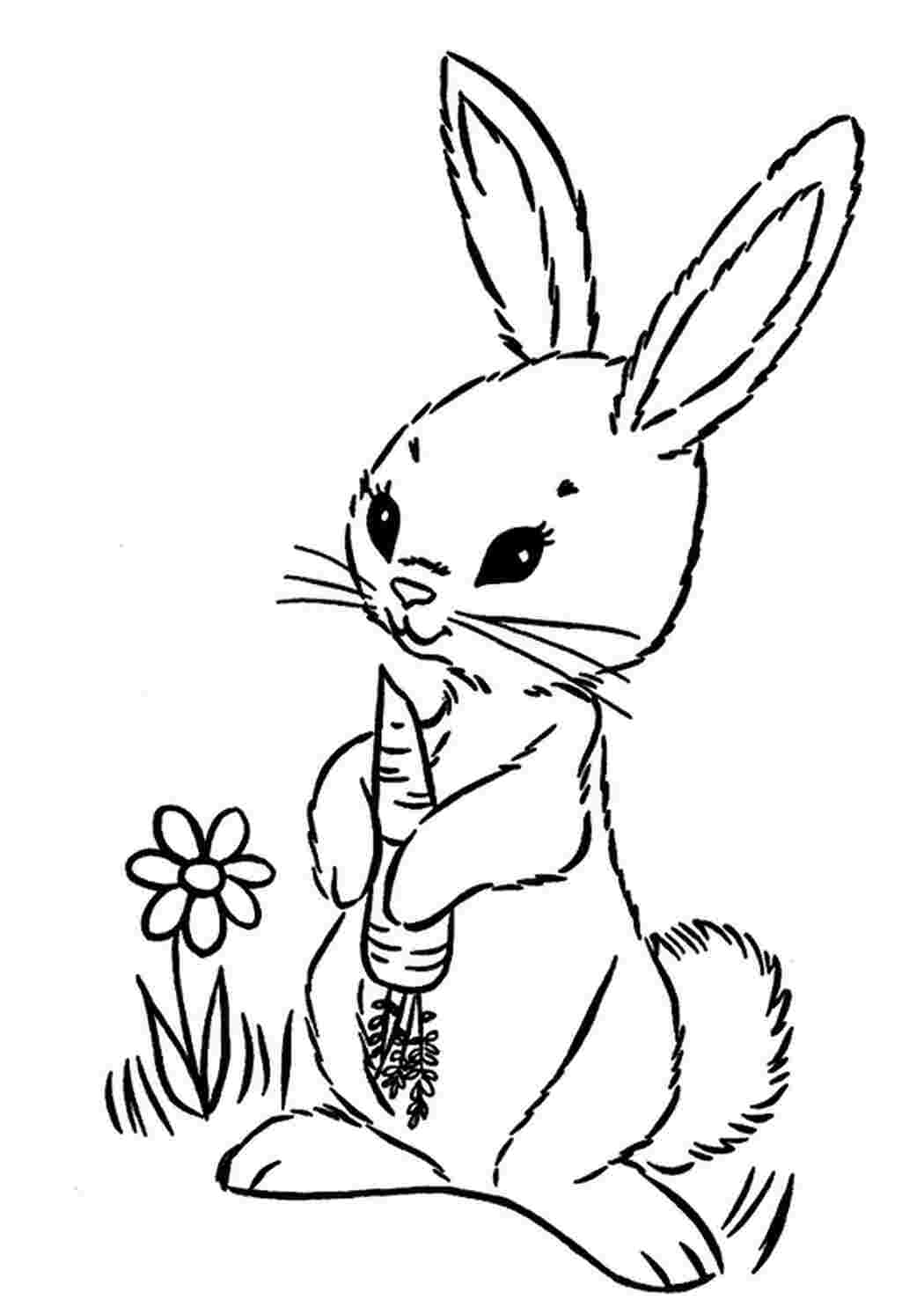 Раскраски раскраски заяц, цветочек, для детей Раскраски Кролики  