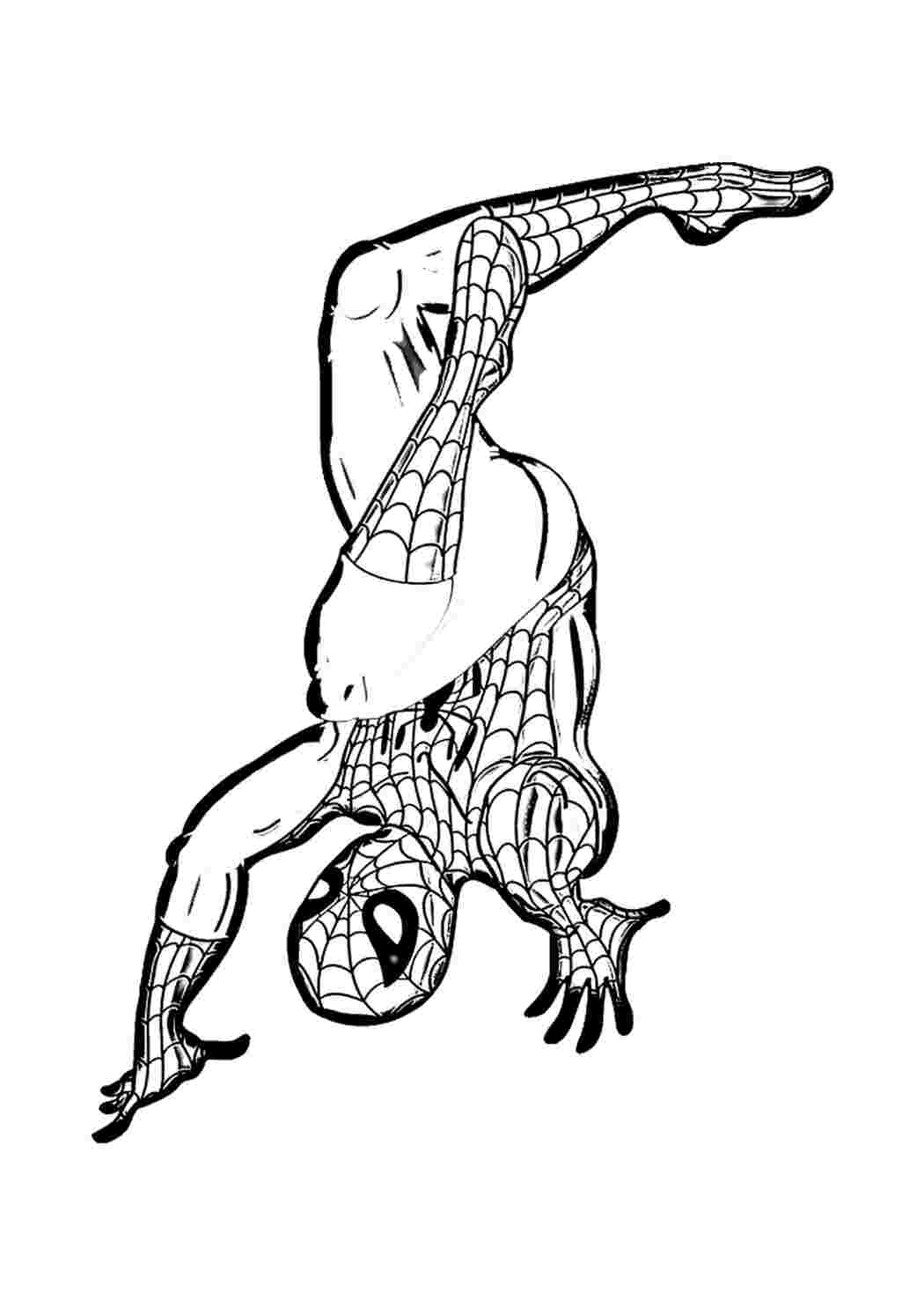 Человек-паук показывает трюки Раскраски скачать и распечатать бесплатно.