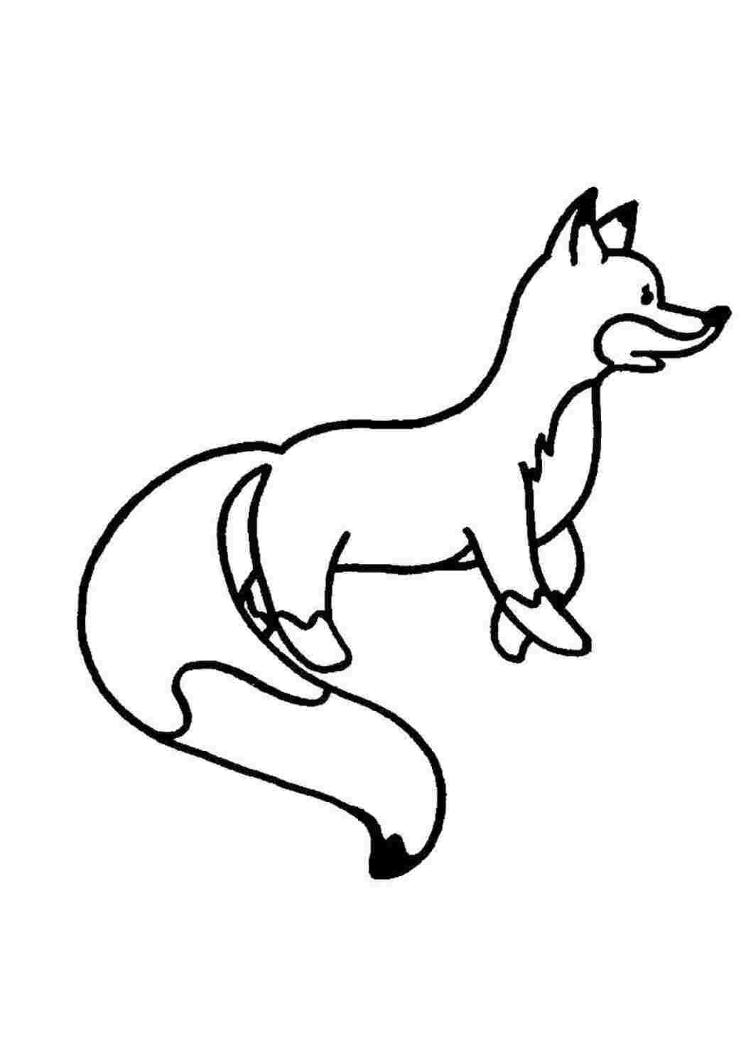 Раскраски Лиса лисичка лиса