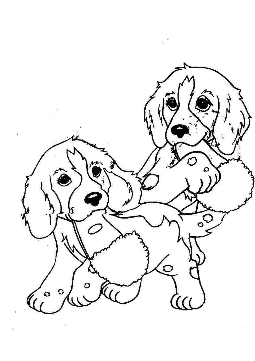 Раскраски Два щенка и тапки собаки щенки, тапки