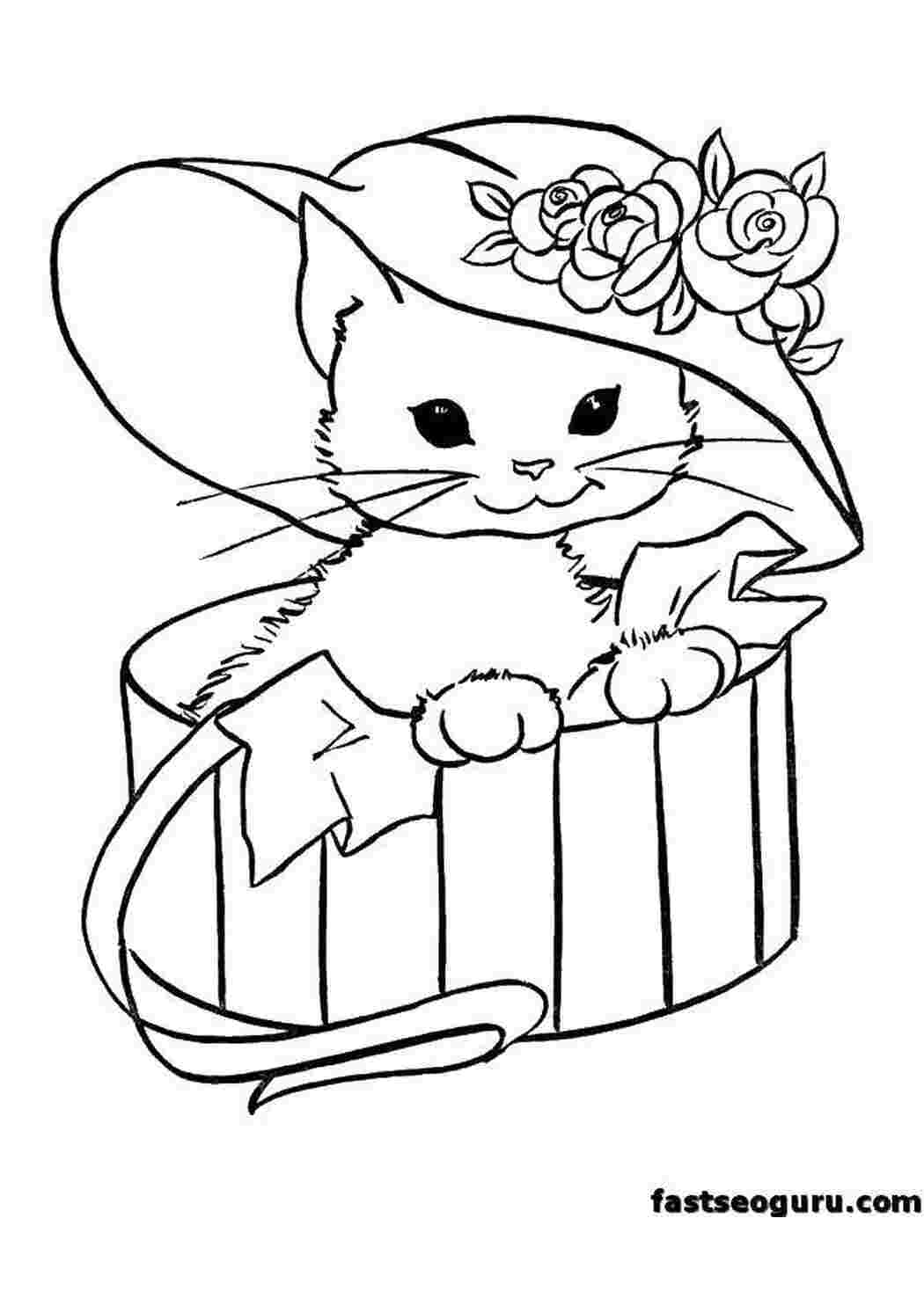 Раскраски Кошечка в шляпке Кошка кошка, шляпа, кошечка