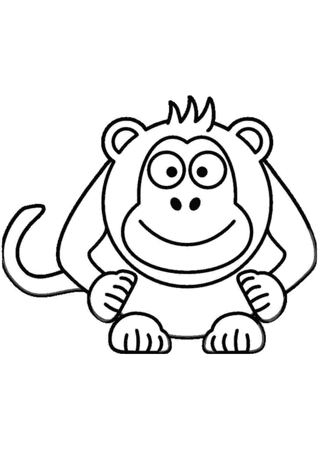 Раскраски обезьянки. Раскраска обезьяна для детей скачать