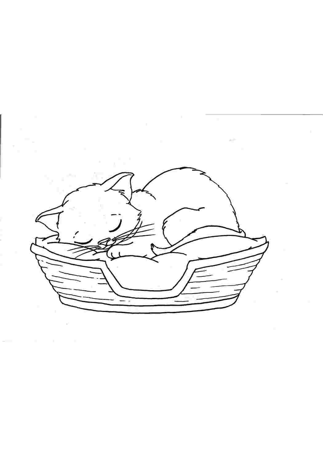 Раскраски Кошечка спит Коты и котята Животные, котёнок