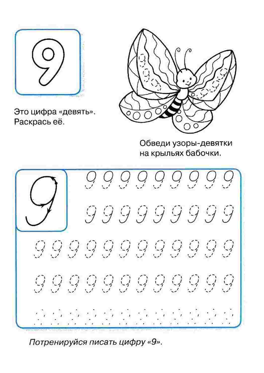 Раскраски Раскраски цифры пропись математика  Пропись цифры 9