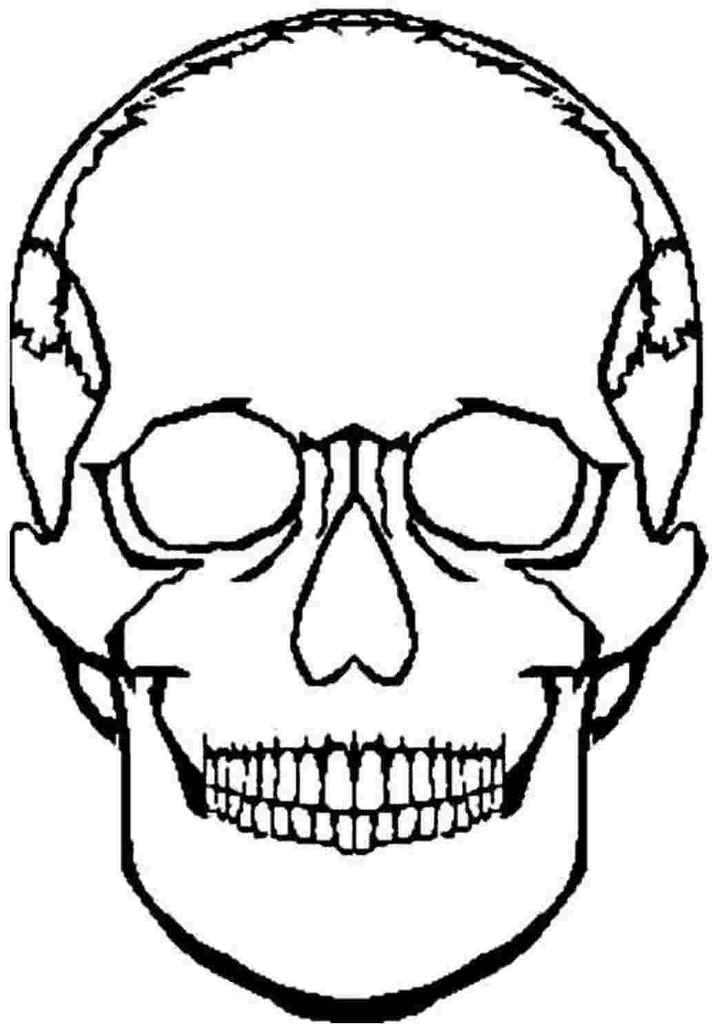 Череп человека Скачать раскраски для мальчиков
