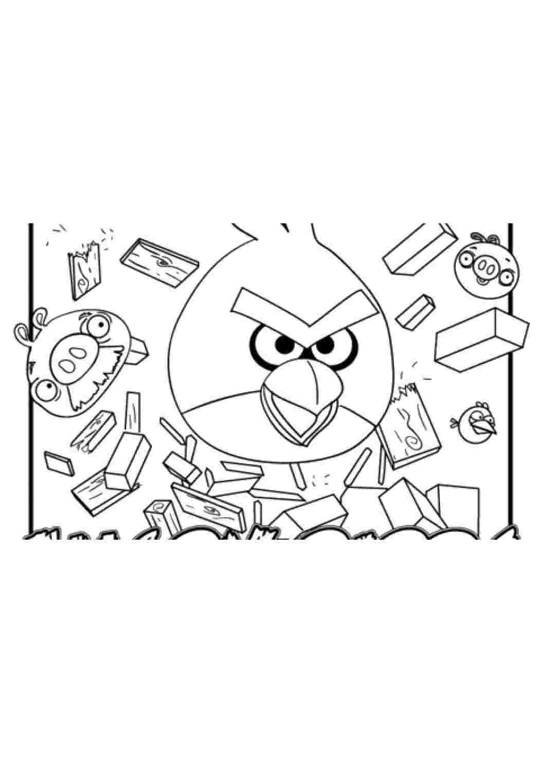 Раскраска Птичка Angry Birds. Птичка из angry birds