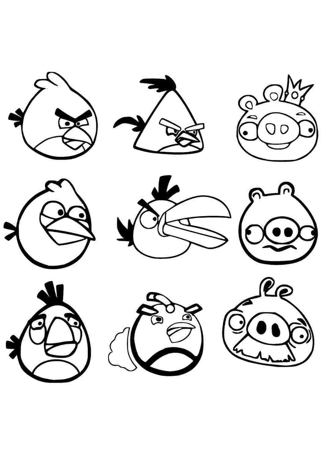 angry birds angry birds, свинья, птица