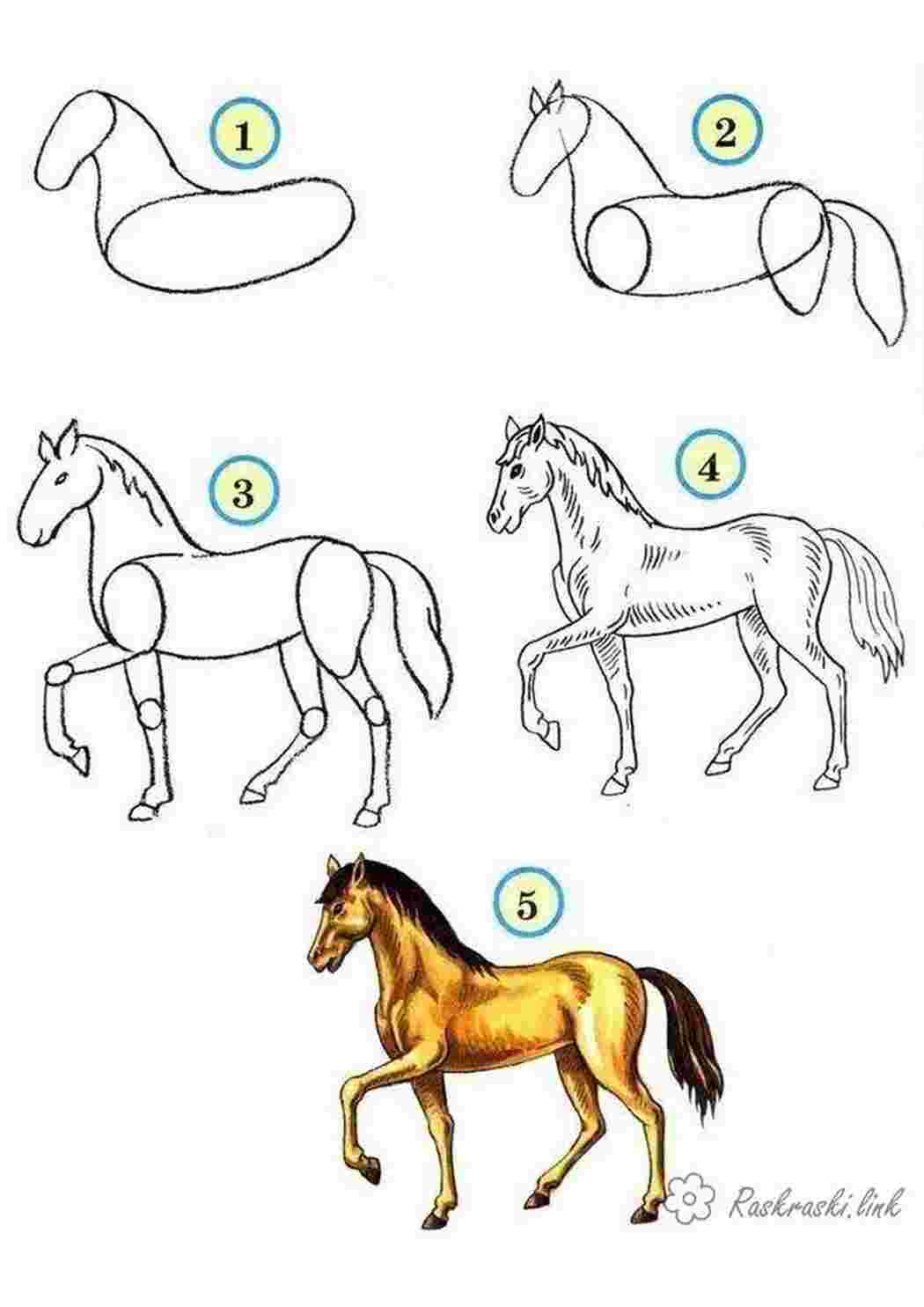 Раскраски лошадь рисуем поэтапно Раскраски Как нарисовать 
