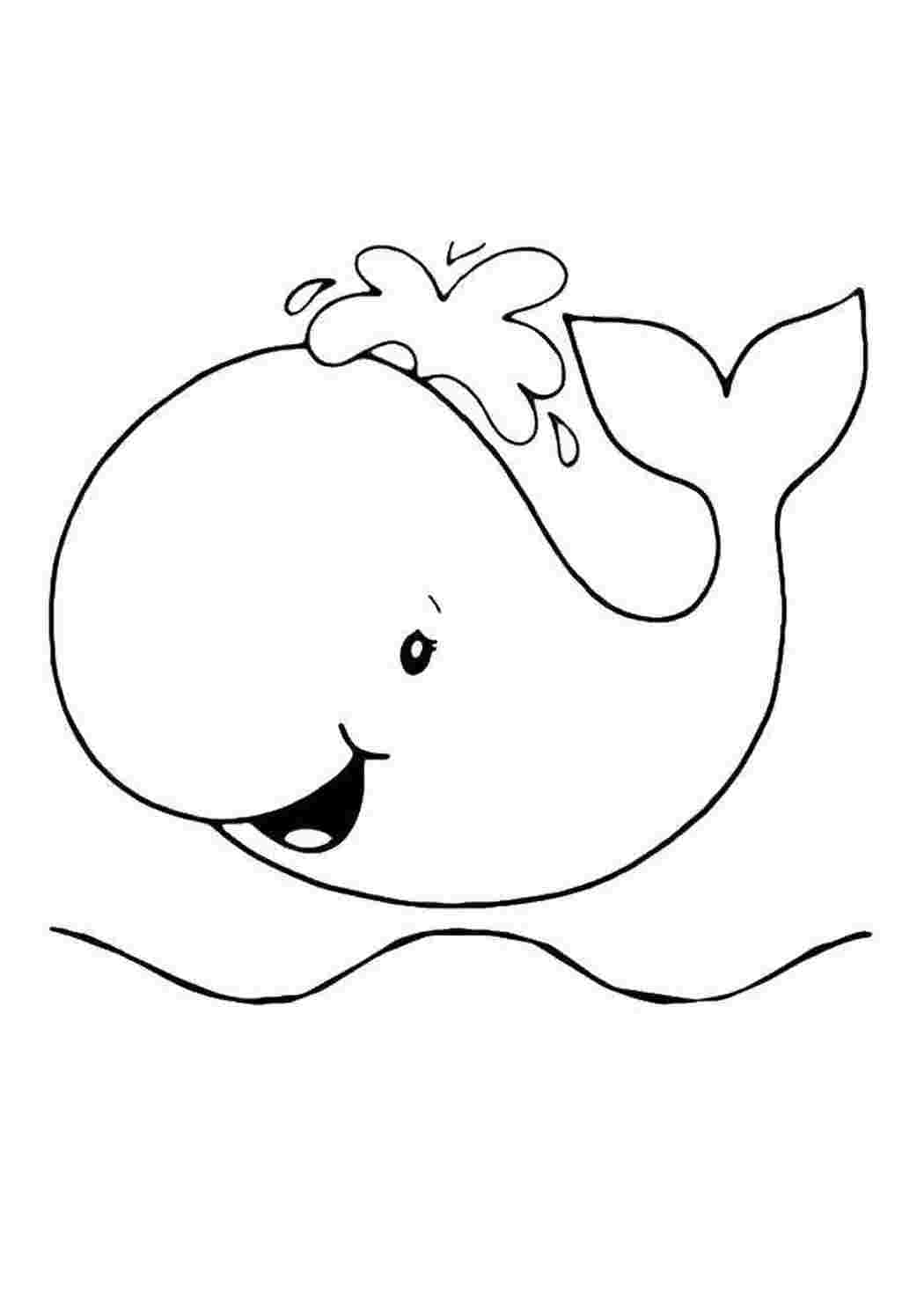 кит Подводный мир, рыба, кит