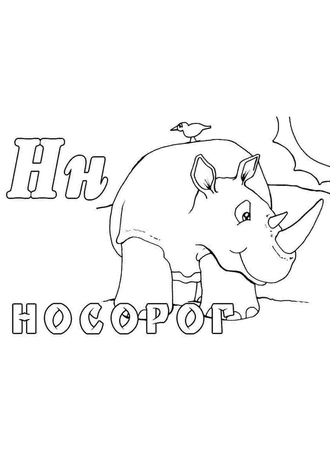 Животные животные, носорог, Нн
