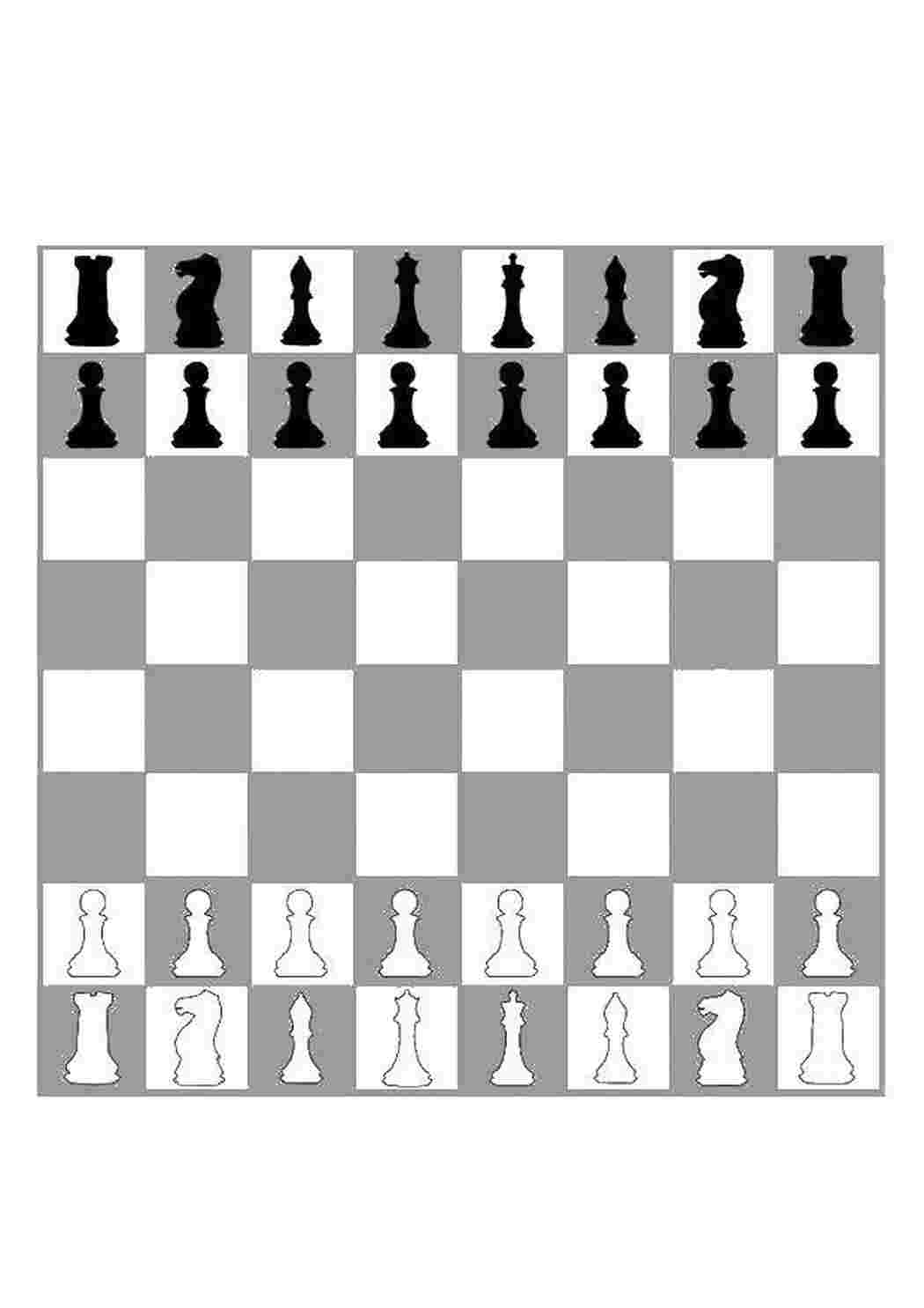 Шахматные раскраски - 53 фото