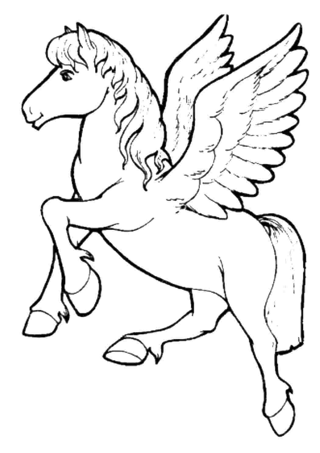 Раскраски Крылатый конь Пони пони, конь, лошадь, крылья