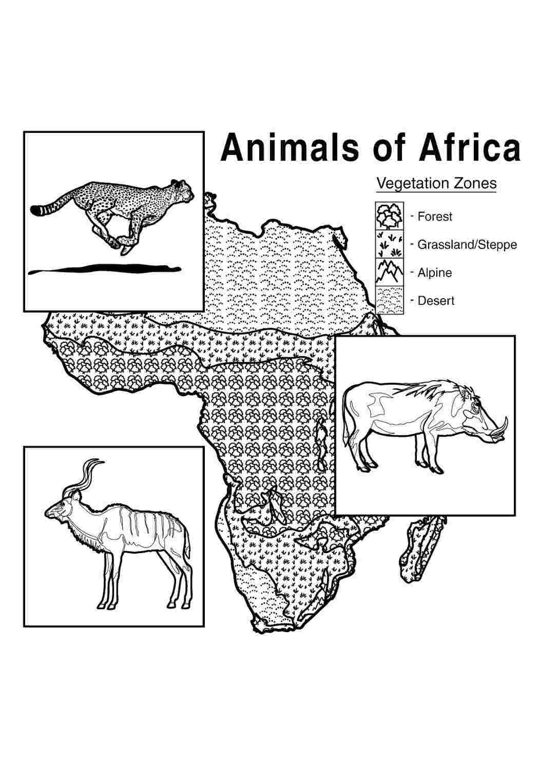 Раскраски Животные африки по зонам раскраски животные, Африка, карта