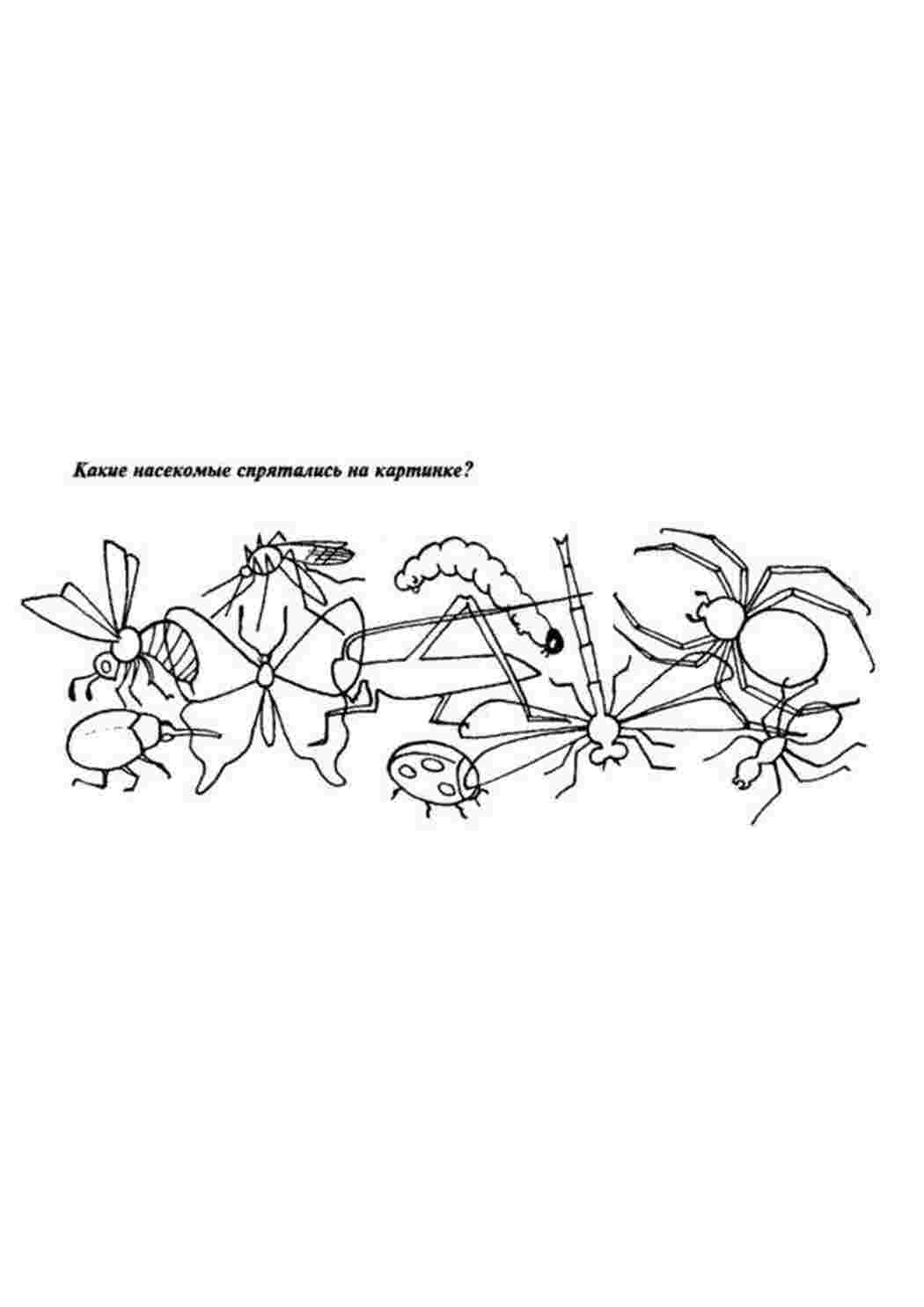 Раскраски насекомые изучаем насекомых Раскраски Зрительная память логика 
