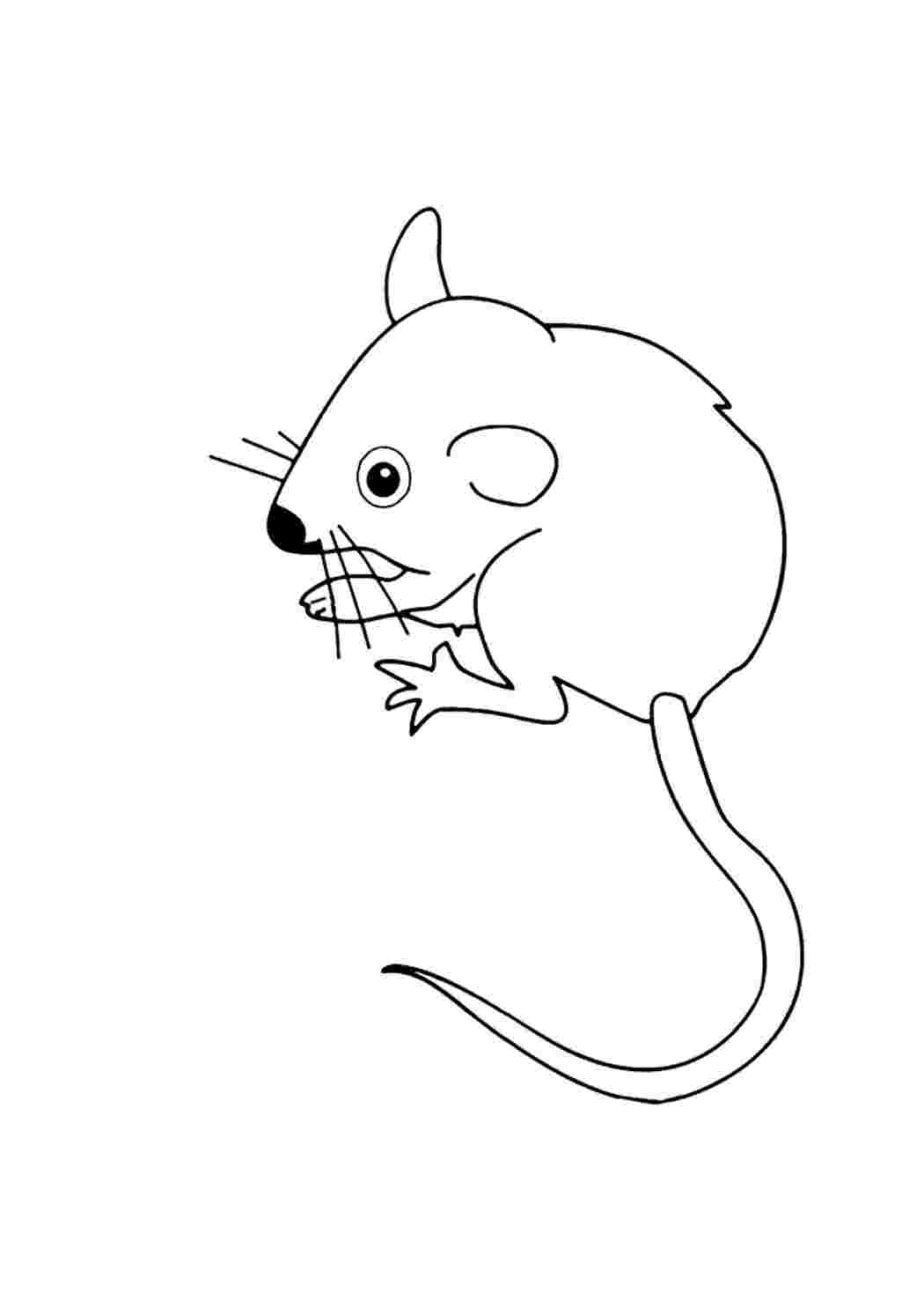 Мышка картинка для детей раскраска