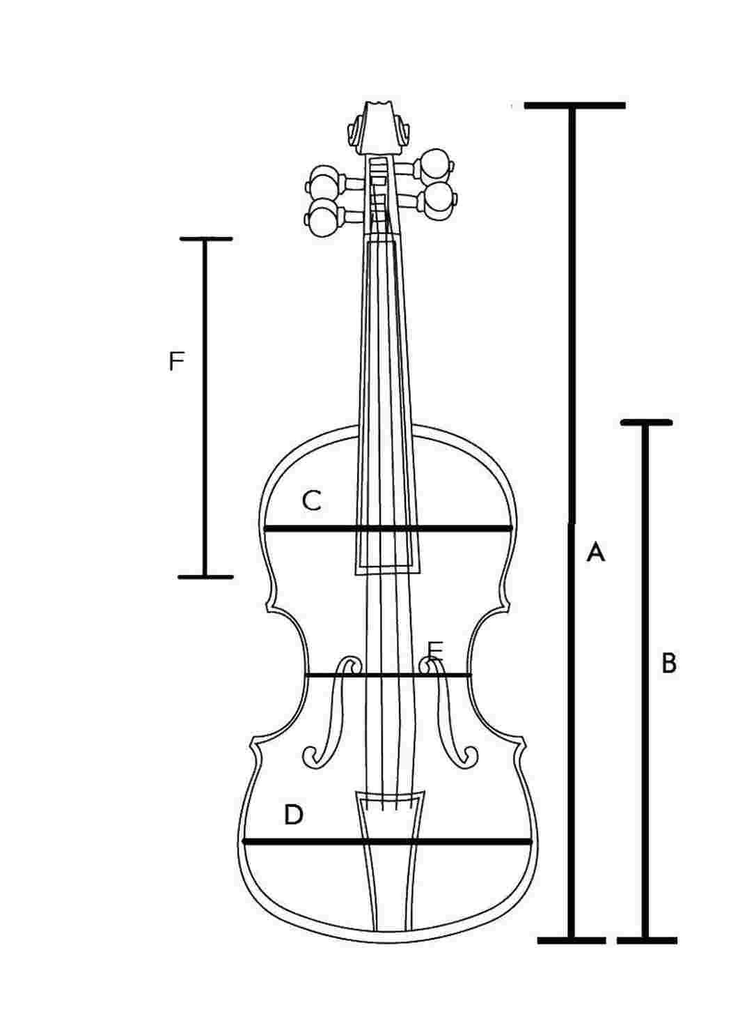 Раскраски Параметры скрипки Скрипка музыкальные инструменты, скрипка