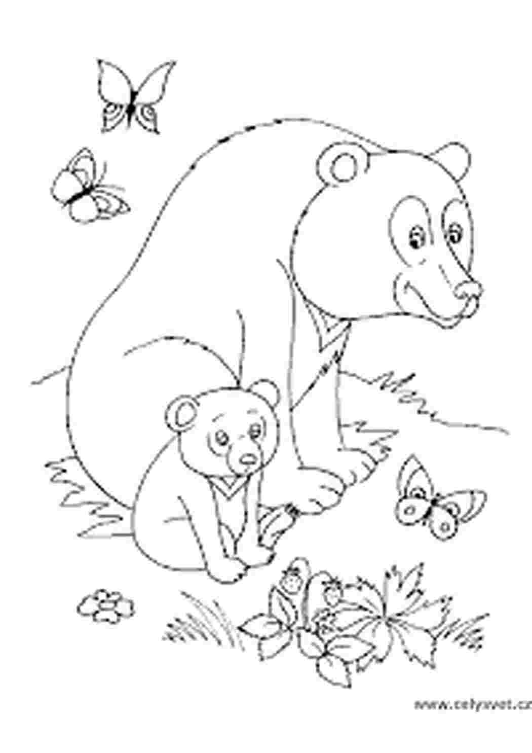 раскраски для детей с животными из сказок раскраски для детей скачать