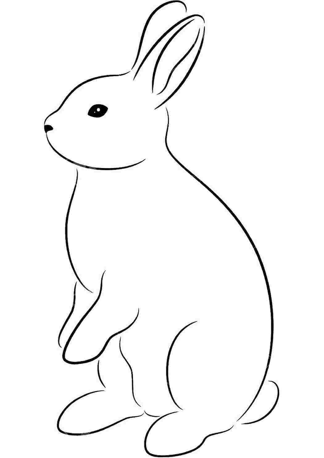 Раскраски Белый кролик Контур зайца для вырезания кролик, заяц