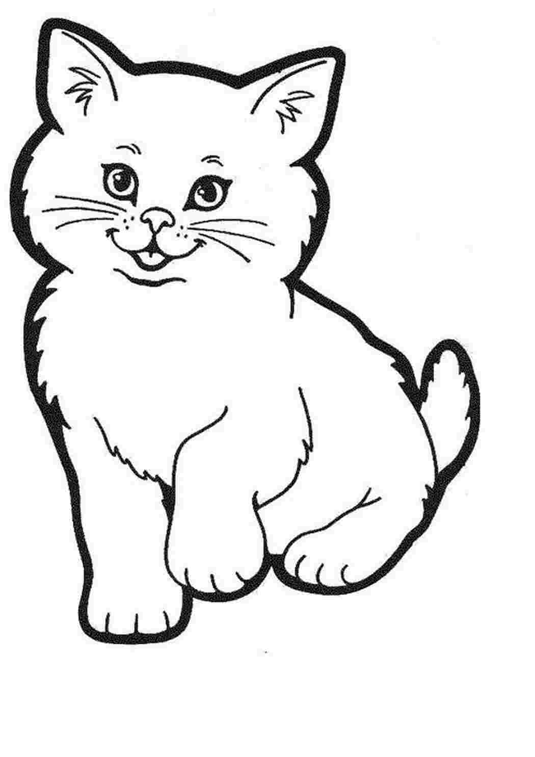 Котик раскраска для детей - 75 фото