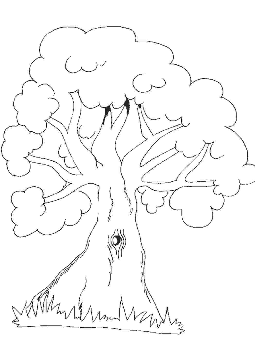 Раскраски Раскраски на тему окружающий мир. Раскраски для детей на тему деревья.  Раскраски для деток и малышей на тему окружающий мир. Раскраски для детей на тему деревья. Раскраски с изображениями деревьев. Раскраски с деревьями для ребенка. 