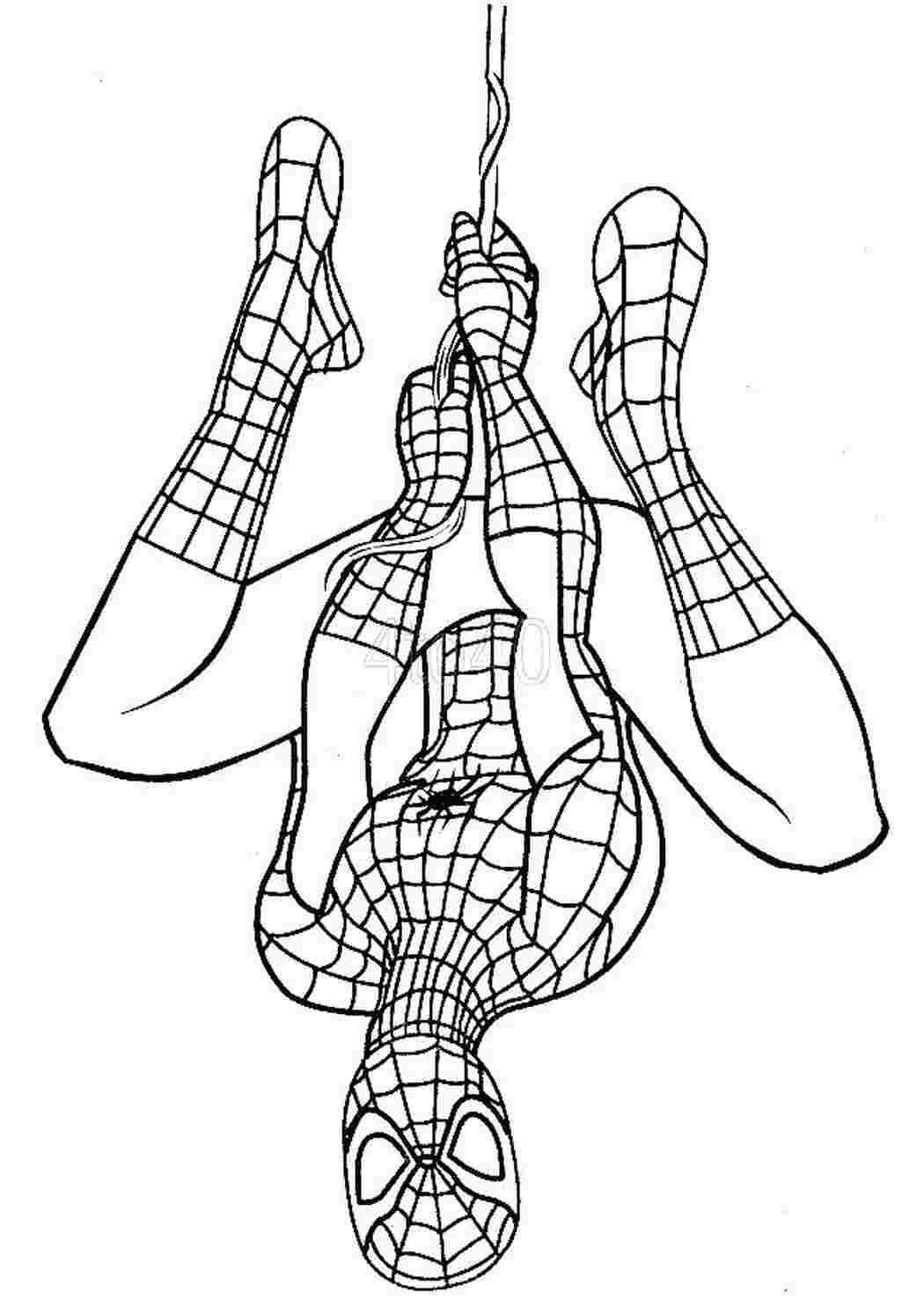 Человек паук весит на паутине вниз головой Раскраски для мальчиков