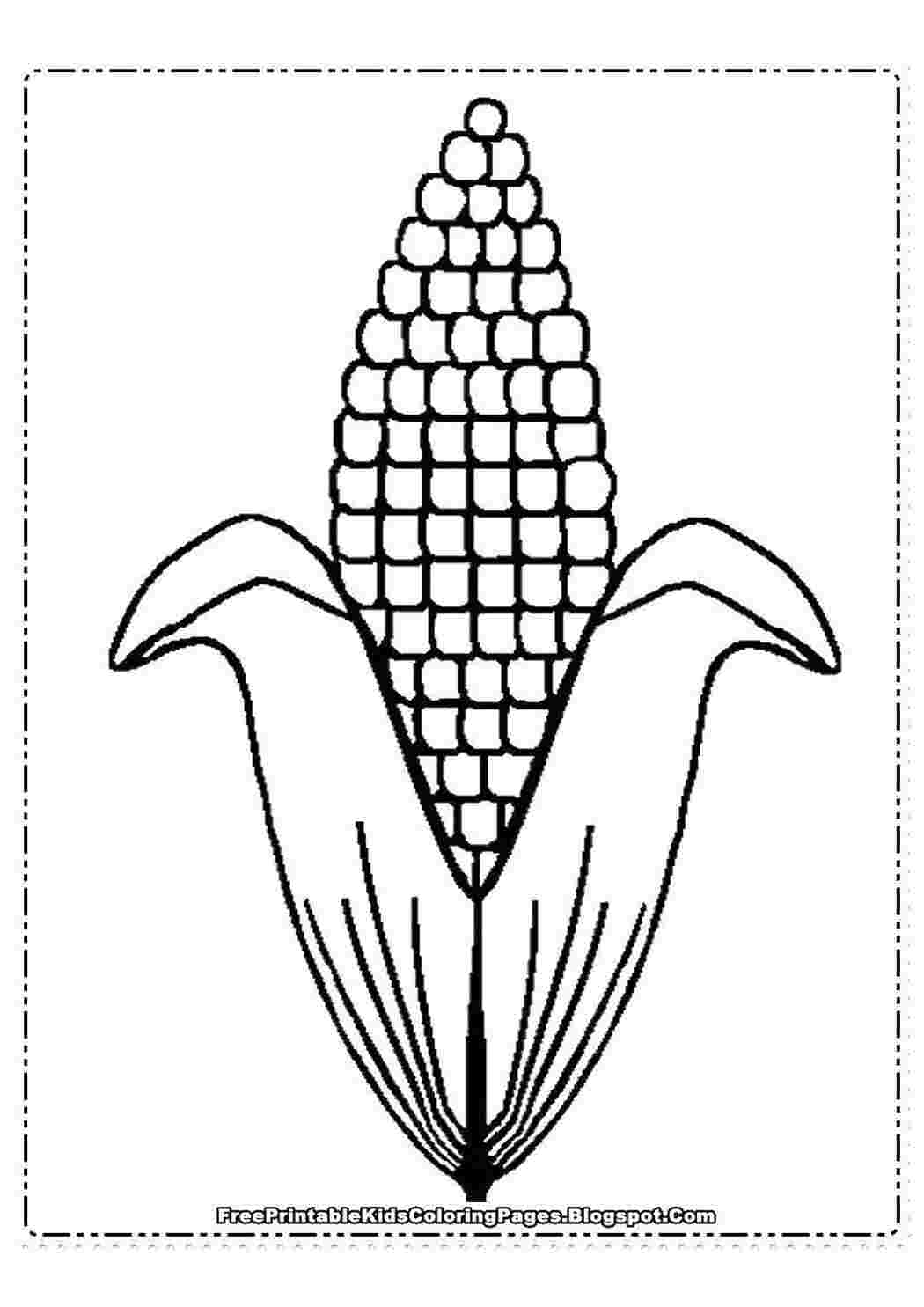 Раскраски Один початок кукурузы Кукуруза початок, кукуруза
