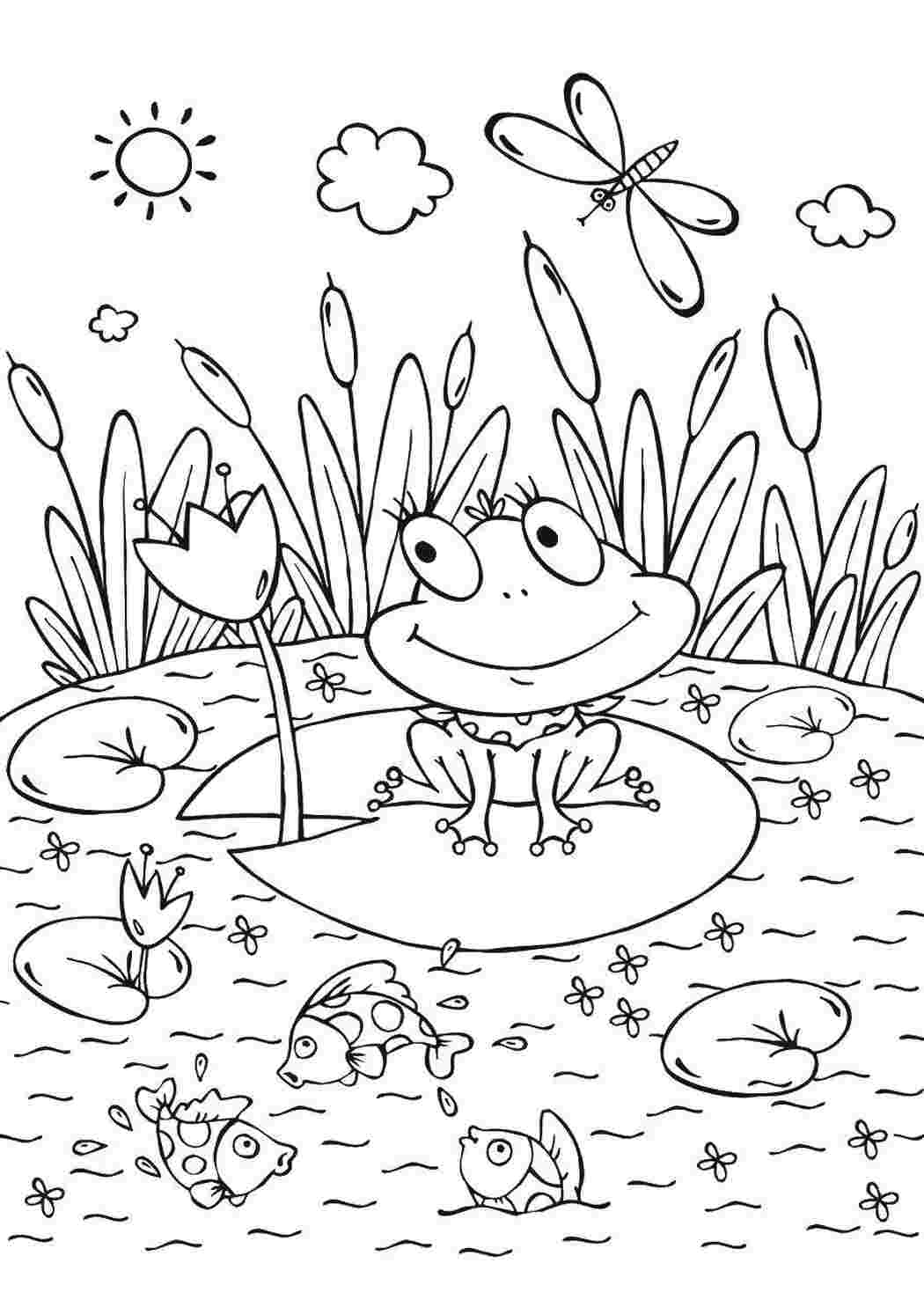 Раскраски Лягушка в пруду лягушка Лягушка, пруд