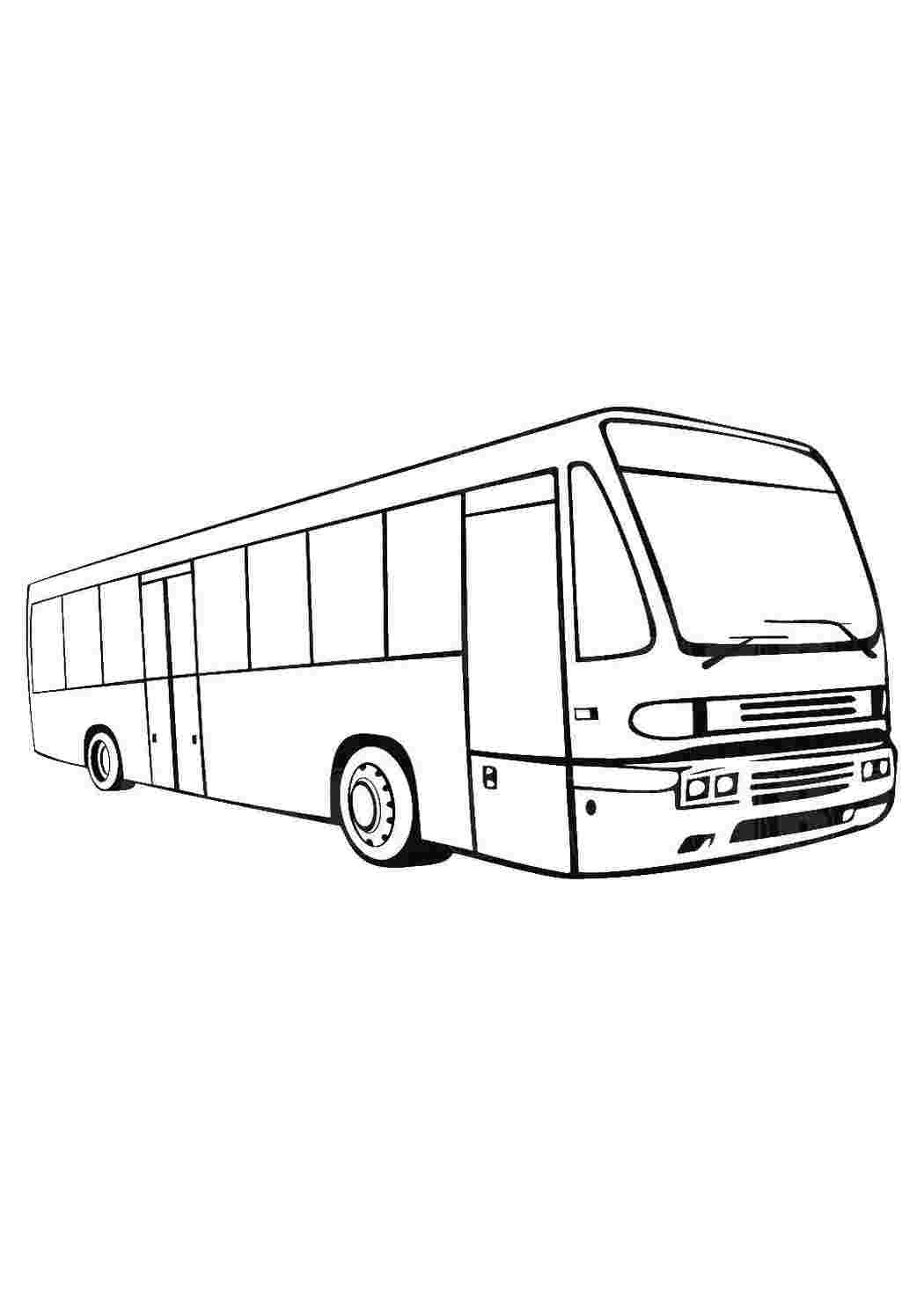 Раскраски Автобус машины автобус