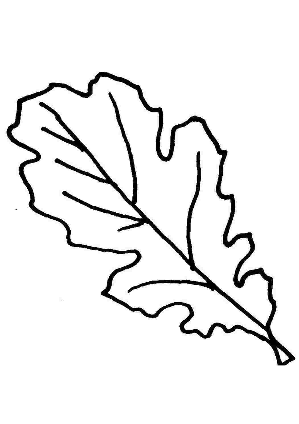 листья лист