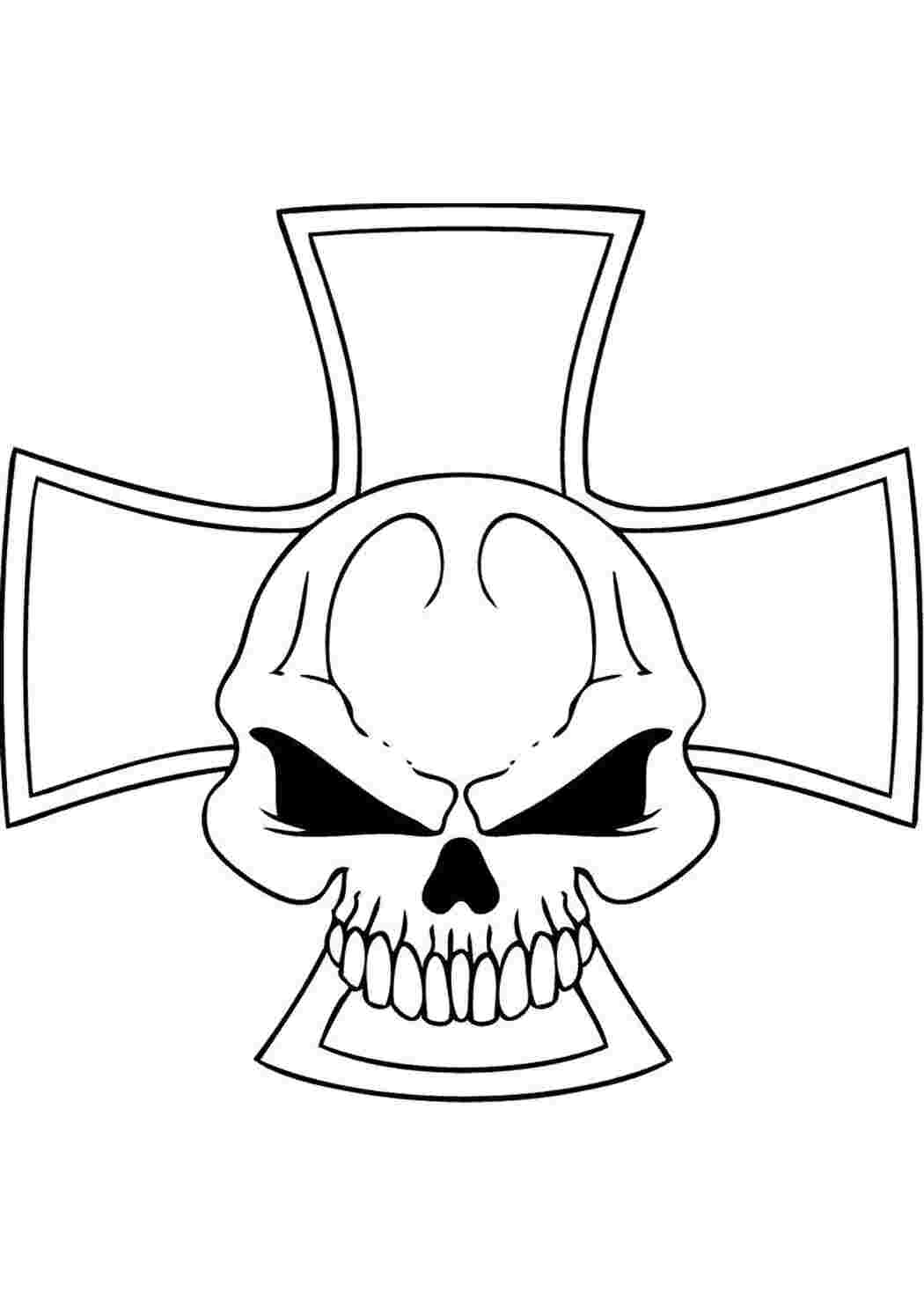 Череп Череп