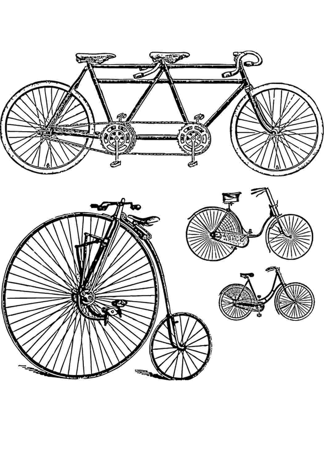 Разные виды велосипедов - первые прототипы 19 века. Раскраски скачать и распечатать бесплатно.