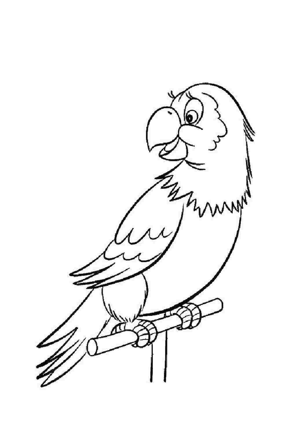 Скачать и распечатать раскраски попугай Ара
