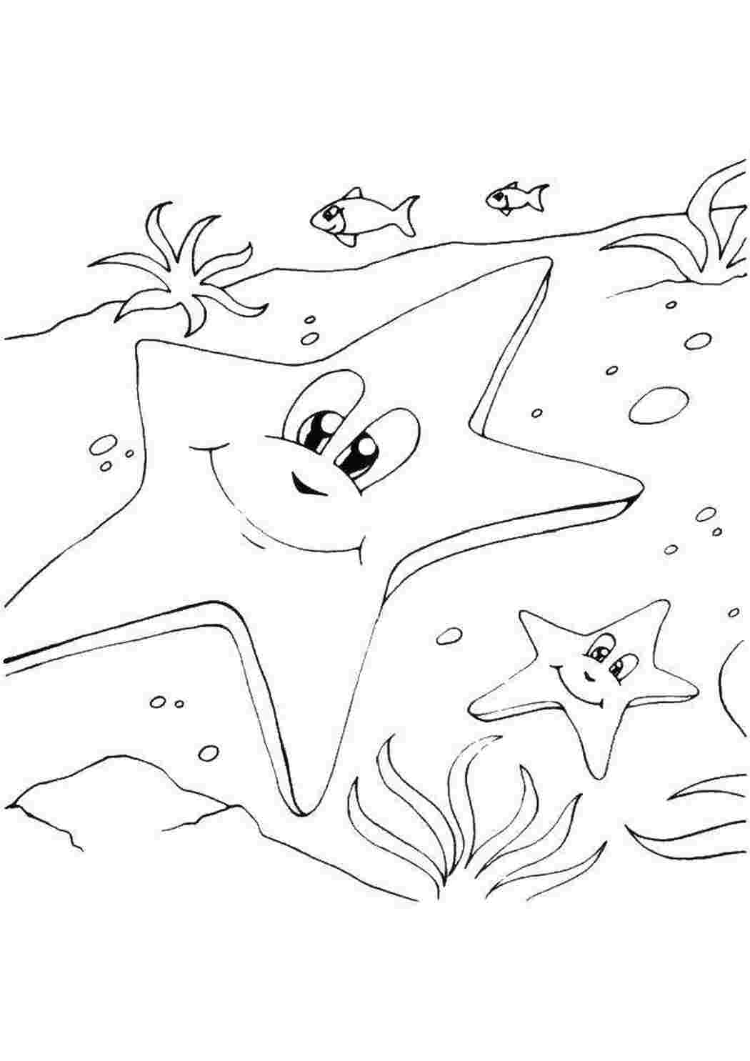 морские обитатели морская звезда, водоросли, глаза