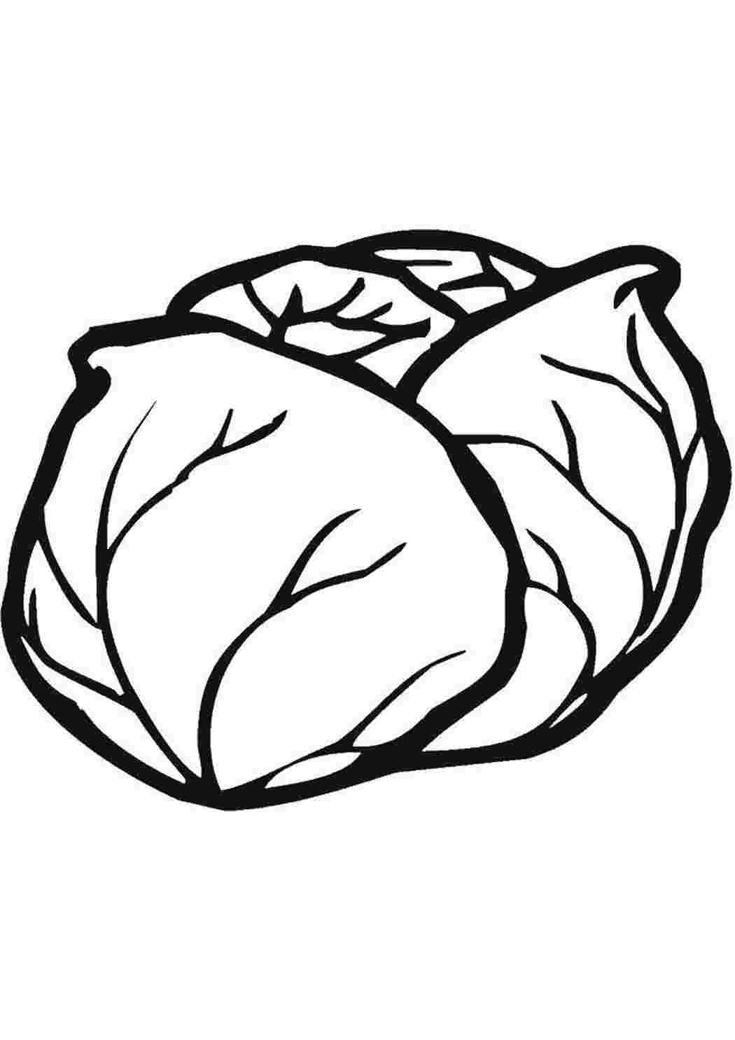 овощи овощи, фрукты, капуста