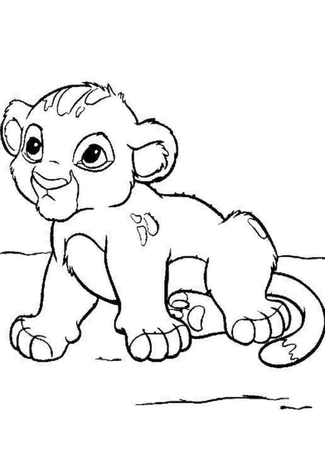 Раскраски Будущий король лев животные Персонаж из мультфильма