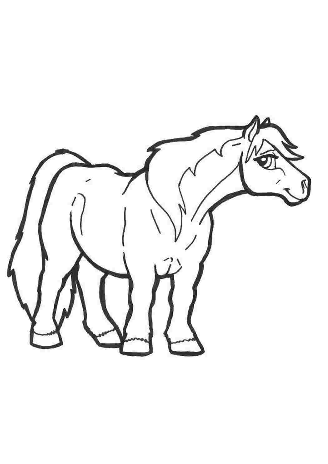 Раскраски Сильная лошадь лошади Лошадь
