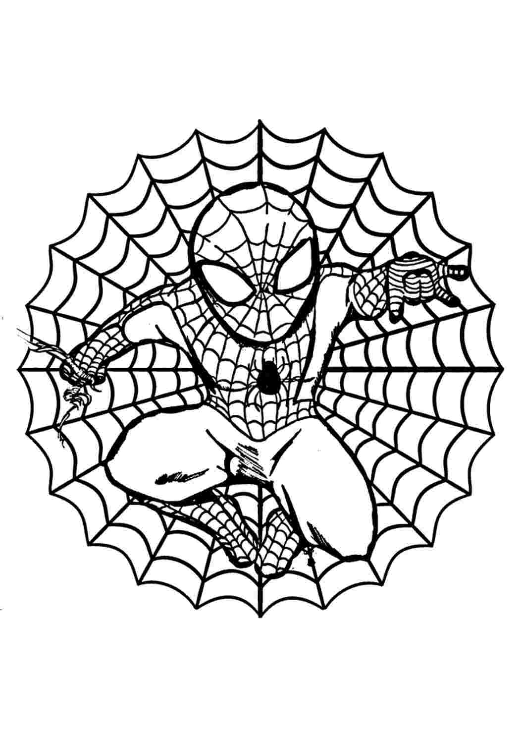 Раскраска с большим количеством деталей - Человек-паук Раскраски скачать и распечатать бесплатно.