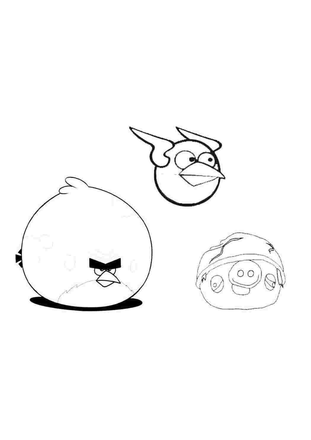 Раскраска Звездные войны Angry Birds. Энгри бёрдс звездные войны