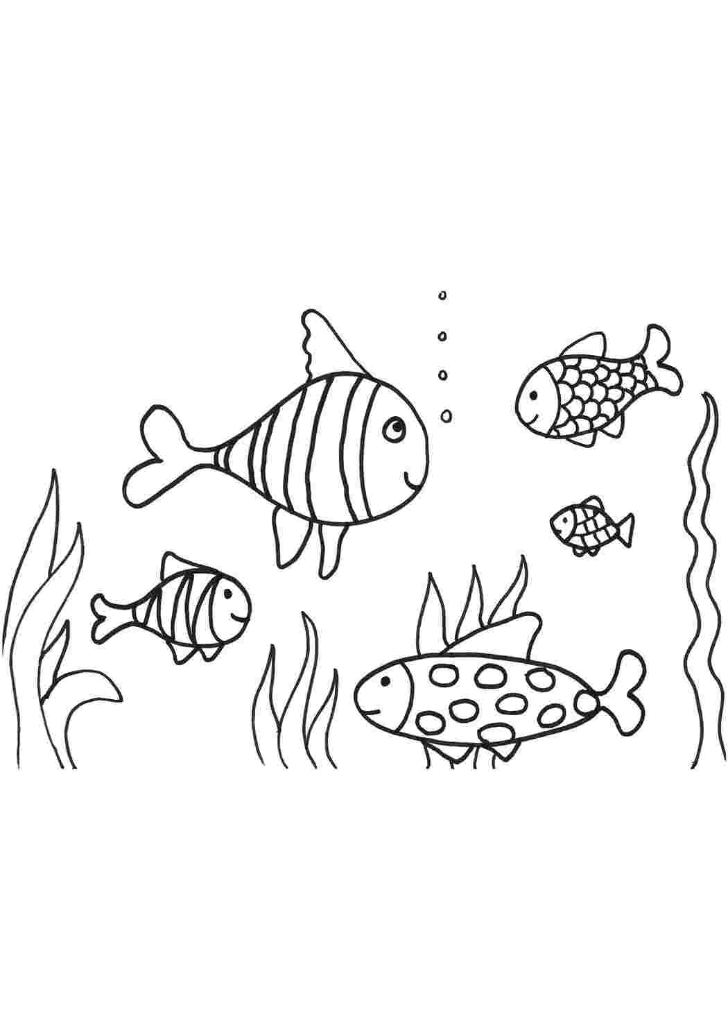 Раскраски Рыбки плавают в воде малышам Подводный мир, рыба