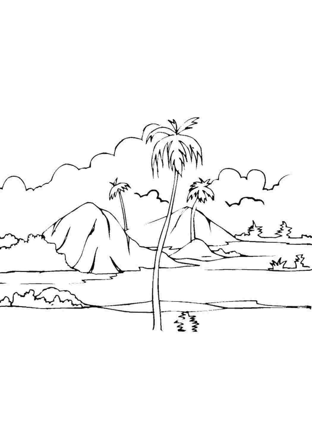 Раскраски Остров пальм дерево Деревья, пальма