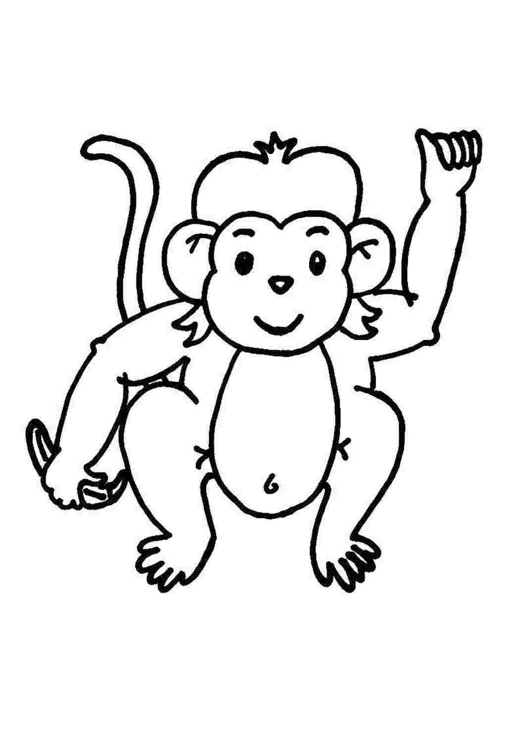 Раскраски Обезьяна Животные животные, обезьяна, обезьянка