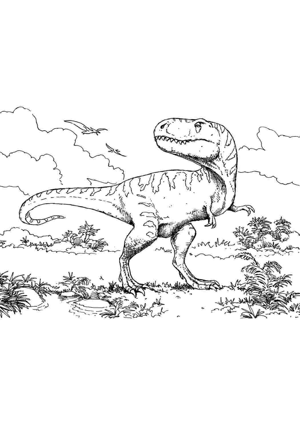 Раскраски Тираннозавр рэкс динозавр Динозавры, тираннозавр