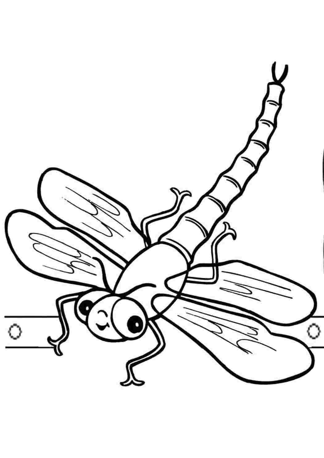 Раскраски стрекоза Насекомые Стрекоза