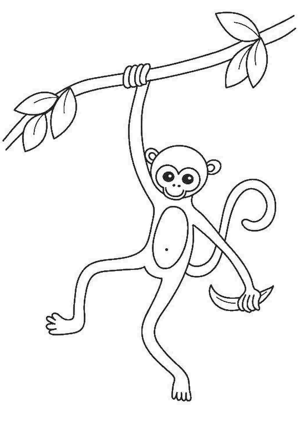 Раскраска забавная обезьяна с бананами 😻 распечатать бесплатно
